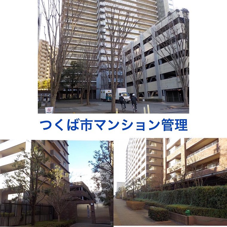 つくば市 マンション植栽管理作業